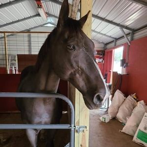 Meet your Posher, Hailey